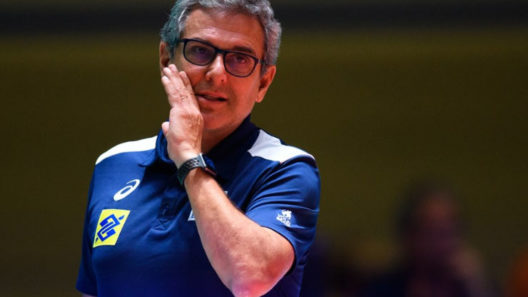 zé roberto