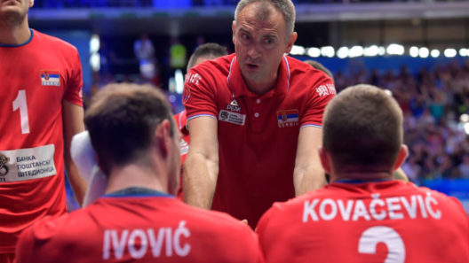 nikola grbic