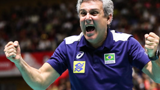 zé roberto