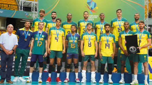 Brasil ficou na segunda posição do Sul-Americano